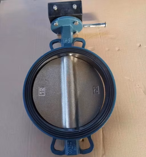 Wcb 304 316 JIS DIN ANSI Handle Manual Center Line Ductile Cast Iron SS304 PTFE Lined Seat Electric Motorized Wafer Butterfly Valve