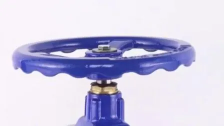 High-Quality Gate Valve Control Valve Supplier Ductile Iron Di Plug-in Soft Seal Globe Valve Gate Valve