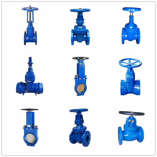 High-Quality Gate Valve Control Valve Supplier Ductile Iron Di Plug-in Soft Seal Globe Valve Gate Valve