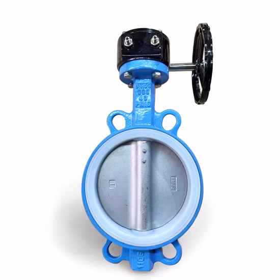 Wcb 304 316 JIS DIN ANSI Handle Manual Center Line Ductile Cast Iron SS304 PTFE Lined Seat Electric Motorized Wafer Butterfly Valve