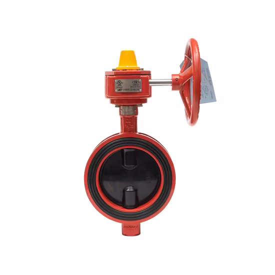 溝付きエンド/ウェハーバタフライバルブ、FM-UL承認済み